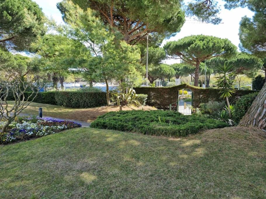 Superbe T2 Tout Confort 3 Etoiles, Entierement Renove Avec Piscine, Parking, Clim, Wifi, Netflix La Grande-Motte Zewnętrze zdjęcie