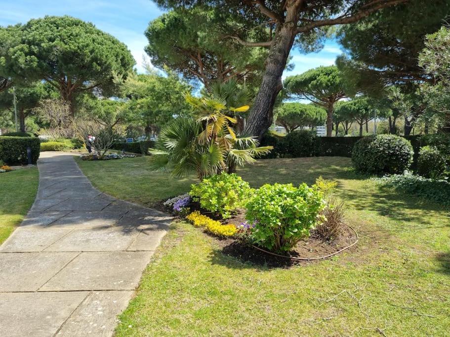 Superbe T2 Tout Confort 3 Etoiles, Entierement Renove Avec Piscine, Parking, Clim, Wifi, Netflix La Grande-Motte Zewnętrze zdjęcie